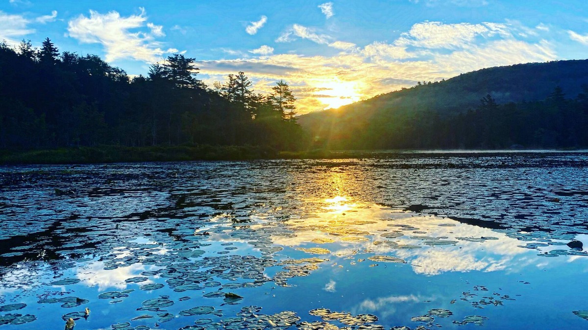 Munsonville Cabin | Spacious and comfortable home on a 250 Acre Private Estate