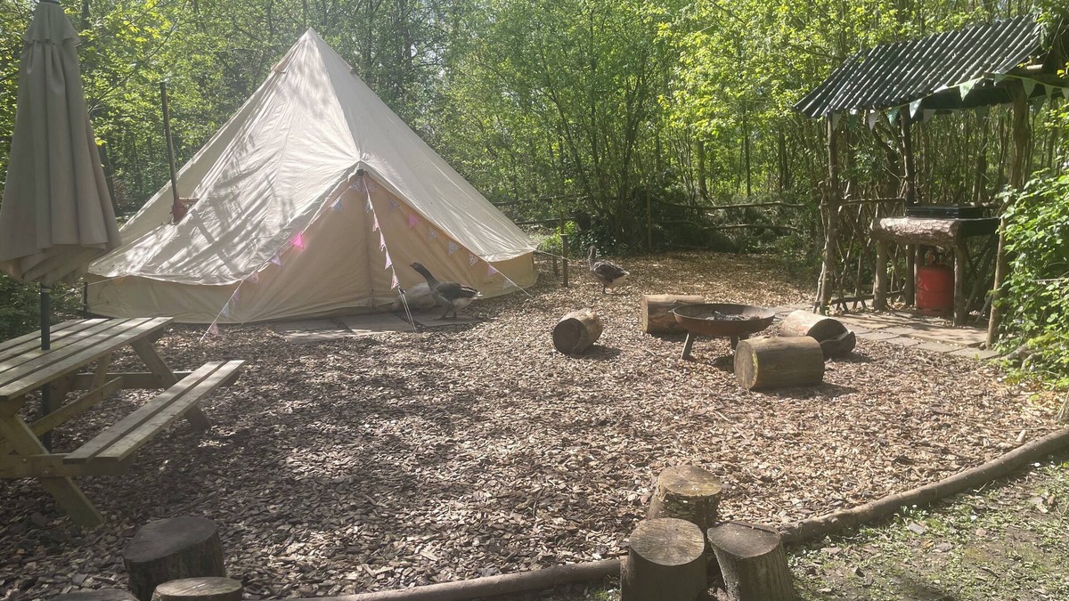 Plastow Green RV Rental | Spacious and cosy 6 meter themed Jungle Bell Tent
