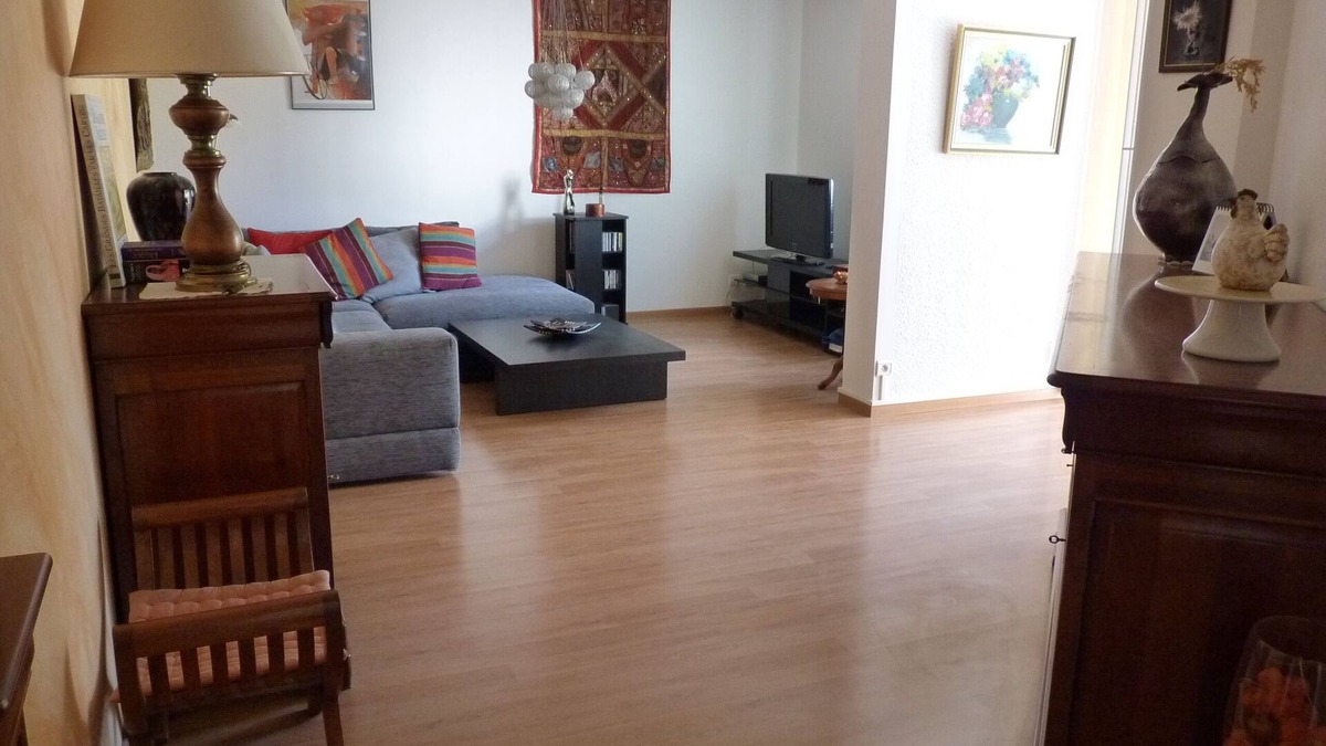 Fontanil-Cornillon Apartment | SPACIOUS AND LUMINOUS COMFORTABLE APARTMENT RENTAL NEAR GRENOBLE