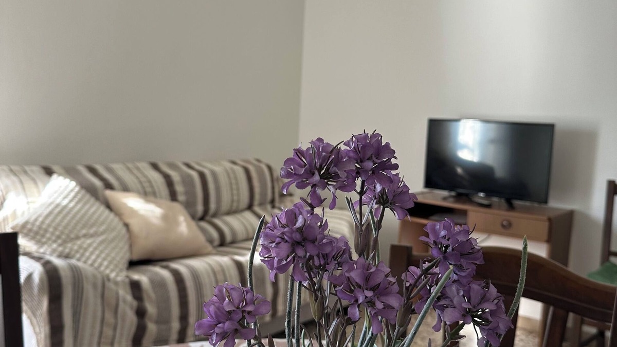 Pinarella Apartment | Spacious apartment 200meters from the pine forest and sea