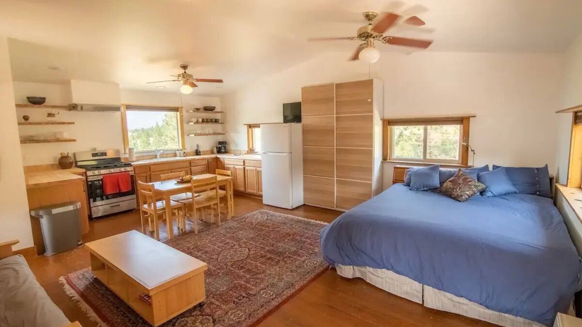 Helena West Side Apartment | Spacious artist's studio loft apartment with viewnn