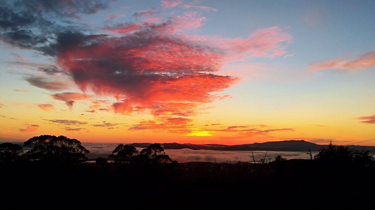 Berkeley Hills House | Spacious, beautiful home with amazing views
