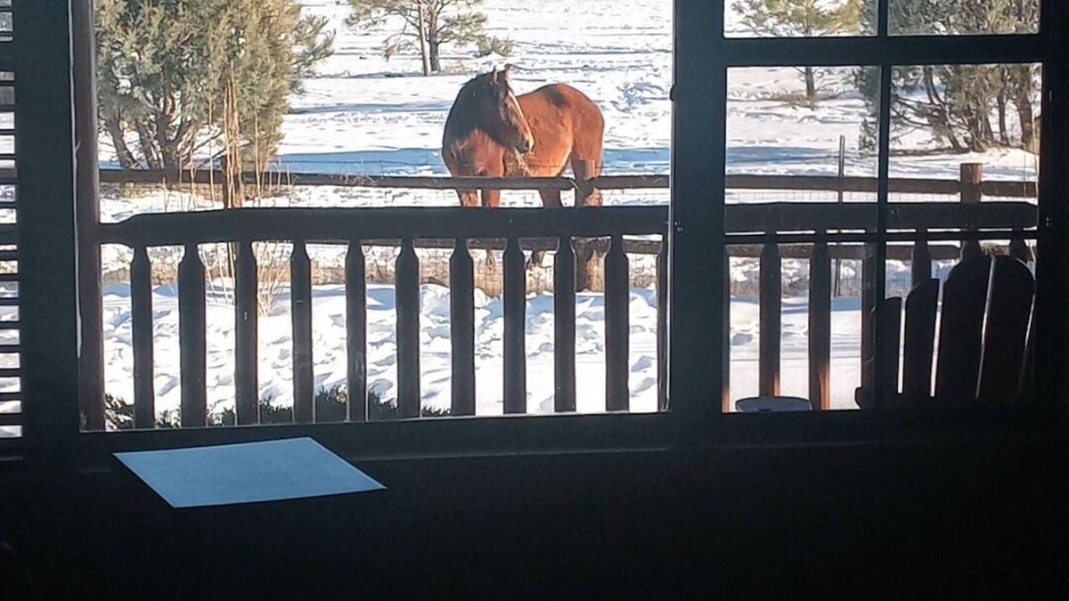 Heber Cabin | Spacious Cabin w/Wild Horses+National Forest+Dog Friendly+White Mountain Views