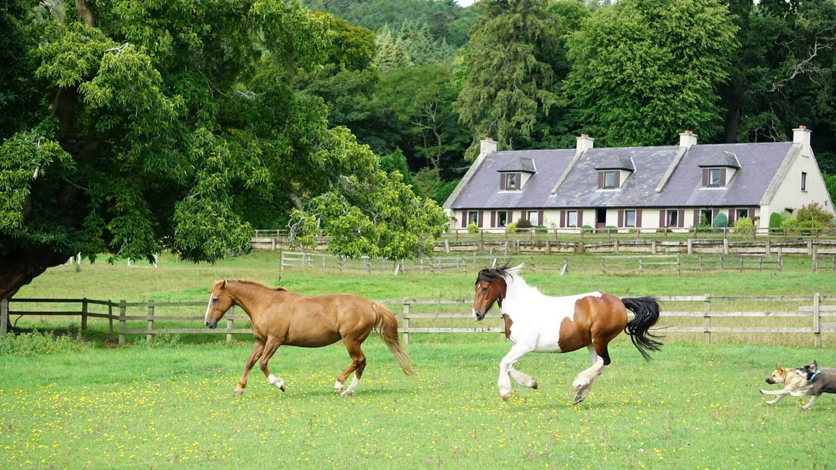 Ashford Other | Spacious country living suitable for small groups or family holidays.