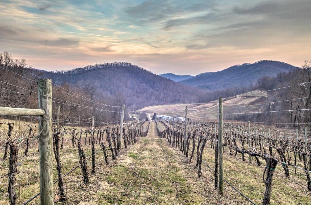Faber House | Spacious Faber Home with Yard, Steps to Winery!