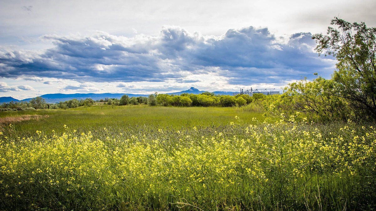 Ralston House | Spacious Family Retreat with Stunning River Views – Just 15 Minutes from Cody!