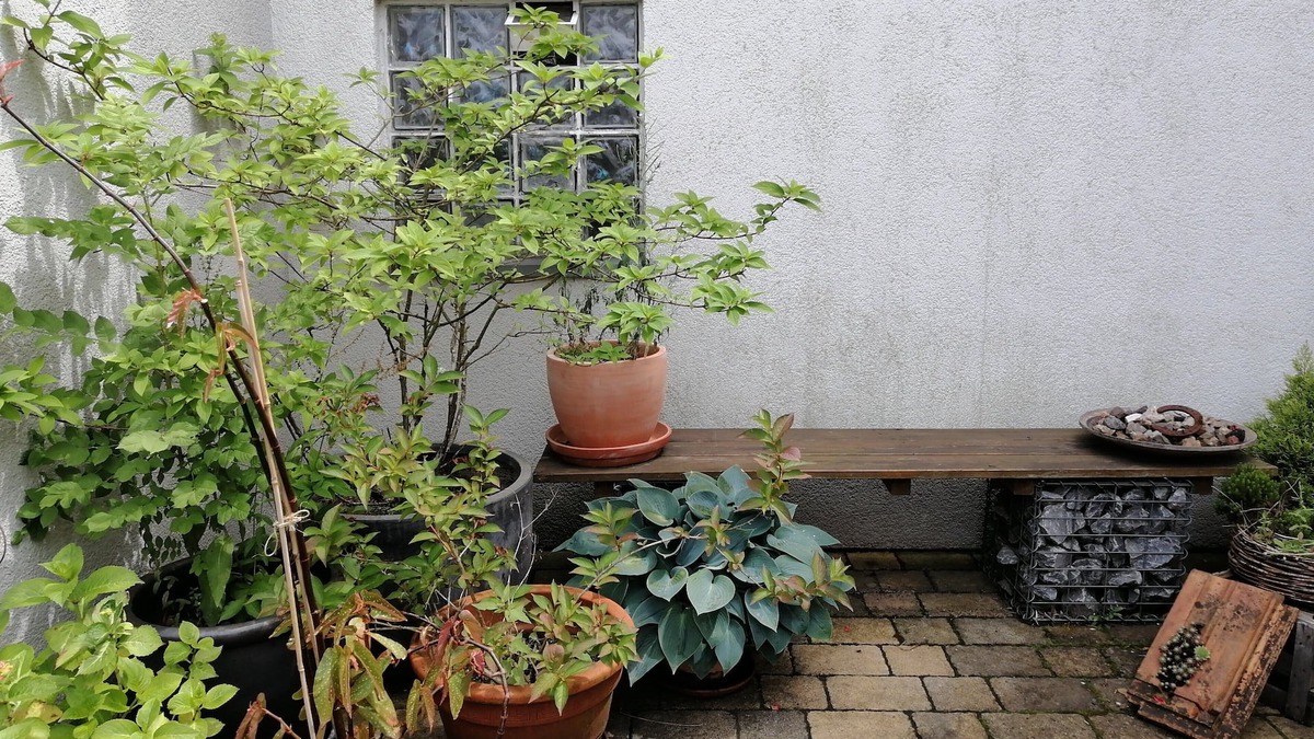 Heusweiler House | Spacious house with parking lot and green courtyard
