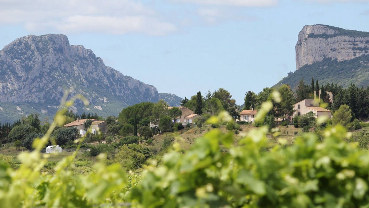 Valflaunes House | Spacious house with pool in Valflaunès 34270