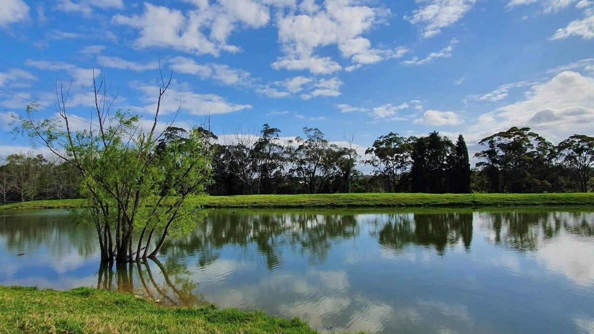 Central Mangrove House | Spacious Luxury Farm Retreat in Coastal Hinterland