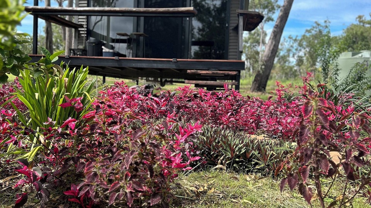 Rum Jungle Cabin | Spacious modern Bungalow Desert Rose: 10 minutes to Litchfield National Park