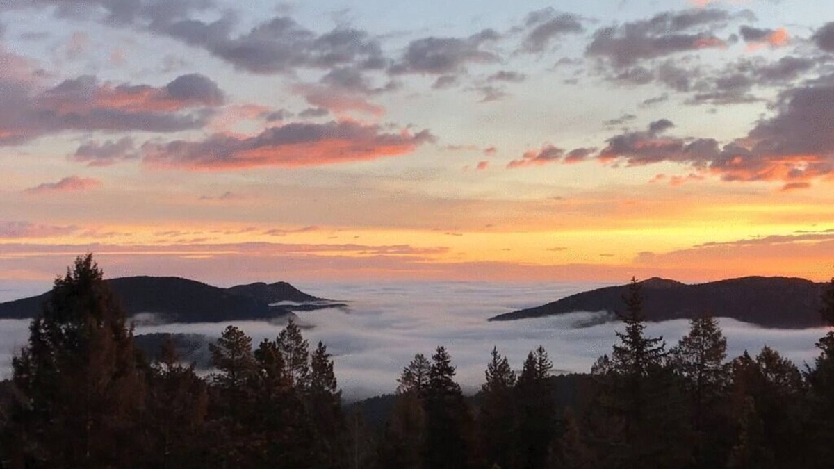 Conifer Mountain and Meadows House | Spacious Mountain Retreat - Nature, Solitude and Views!