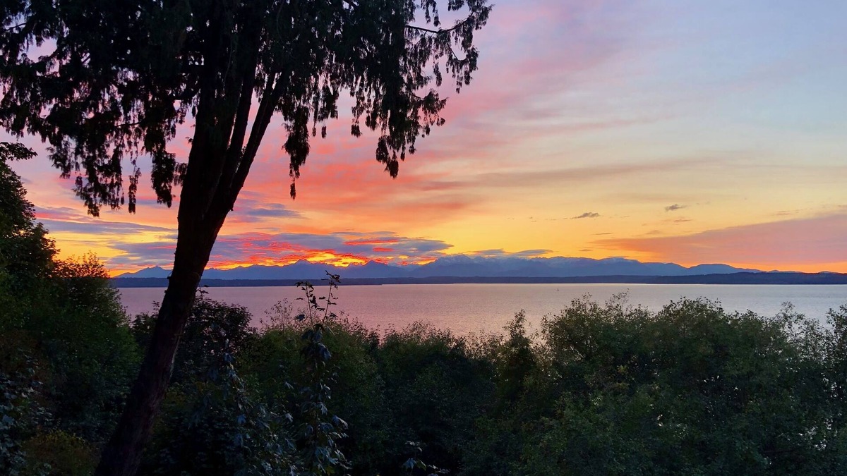 Broadview Apartment | Spacious Romantic Salish Sea View Suite on Luxury Seattle Estate