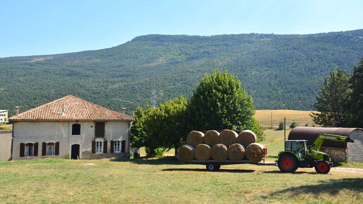 La Palud-sur-Verdon Hotel | Spacious rustic house in the middle of the fields and near the village