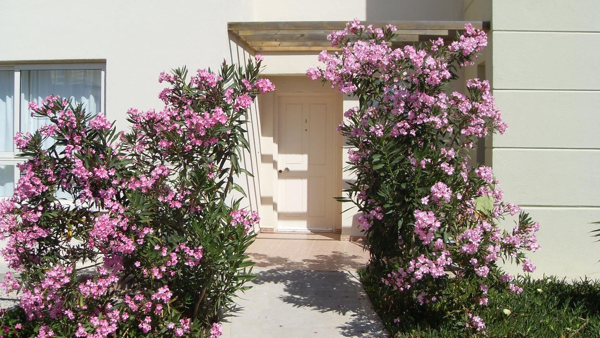 Esentepe Apartment | Spacious sea view terraced apartment, family friendly.