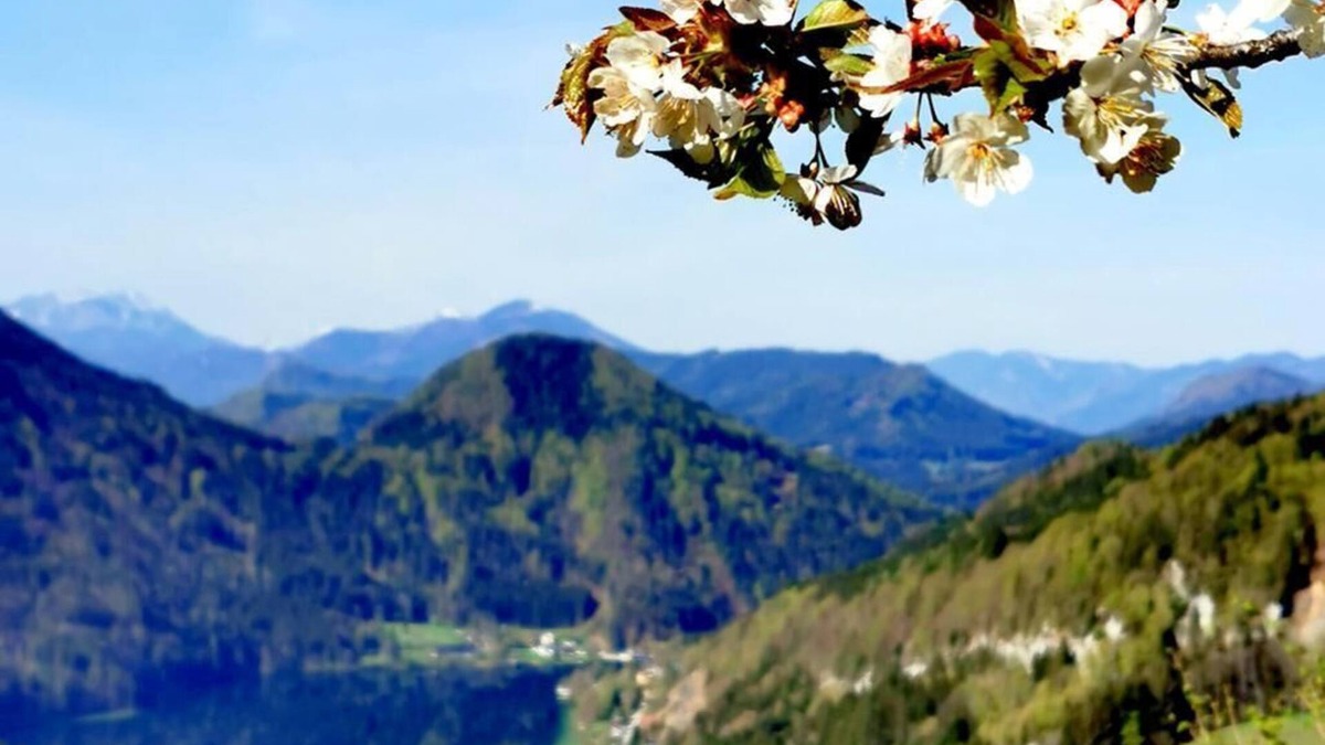 Lunz am See Apartment | Spacious vacation apartment (110sqm) for up to 5 people
