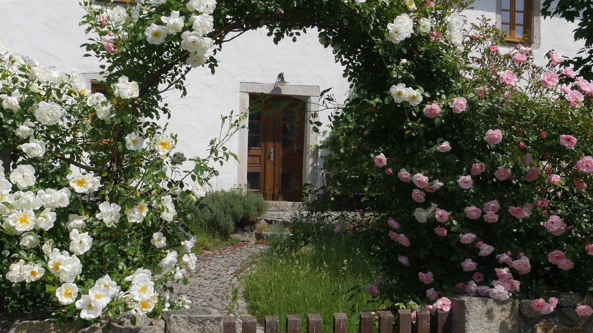Wunsiedel House | Spacious vacation home in the countryside with wellness and health facilities