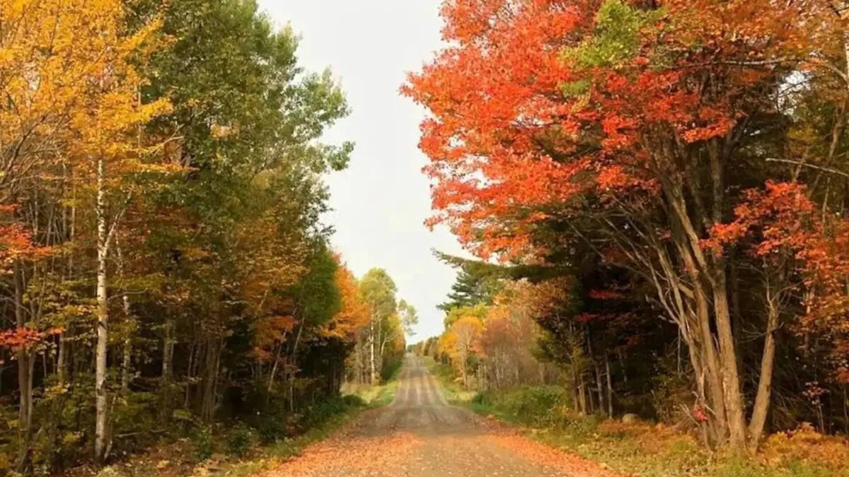 French River House | Spacious Waterfront in the French Rivernn