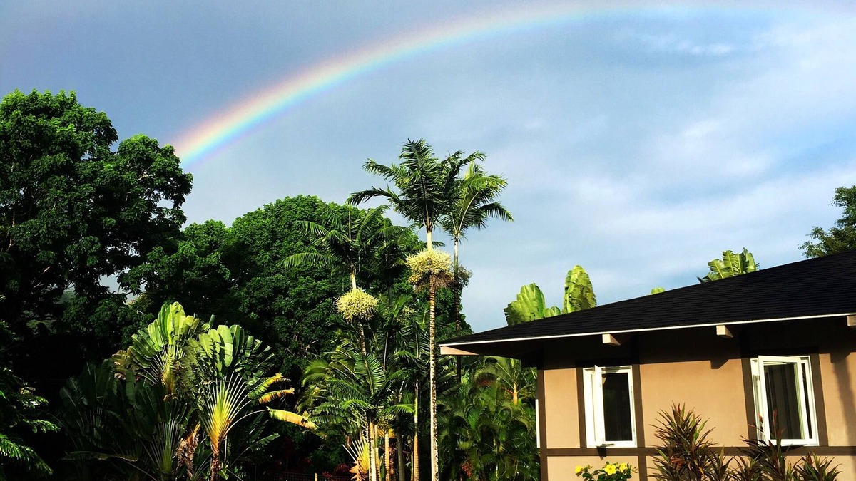 Hana House | Special quiet, romantic, cozy home in a special place, Heavenly Hana. Lucky you!