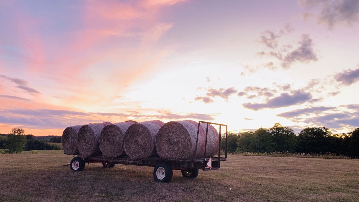 Creemore House | Spectacular 100-acre Country Estate/Farm near Creemore village