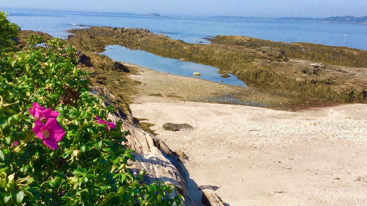 Harpswell Cottage | Spectacular 270 Degree View of Bustling Ocean Front
