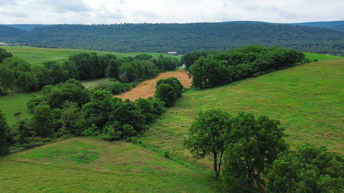 Spring Mills Apartment | Spectacular Buckleberry View Hot Tub Fireplace Jacuzzi