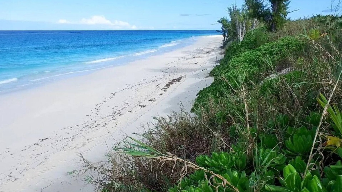 Great Guana Cay Condo | Spectacular Direct Beachfront Condo awaits your arrival!