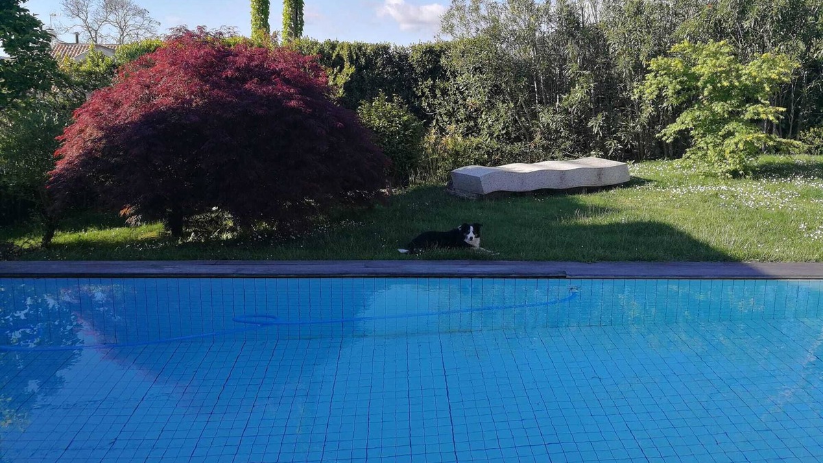Mondariz-Balneario House | Spectacular villa in Mondariz, Casa Mirabal