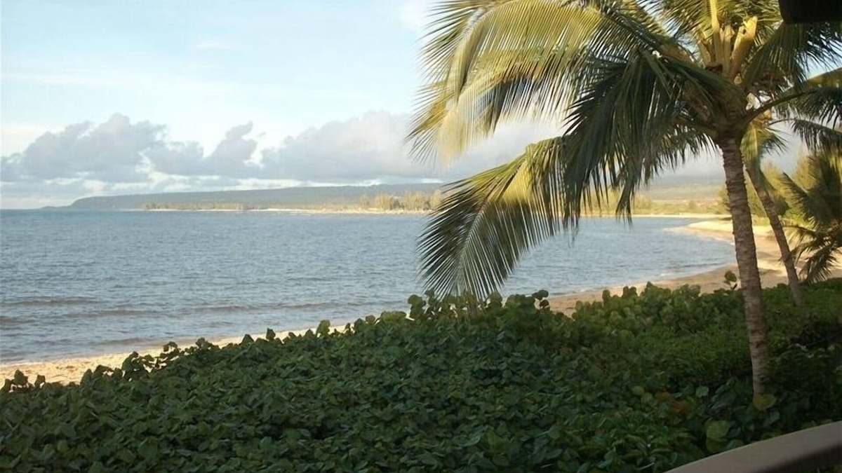 Waialua House | Spectacular Executive Beachfront Retreat