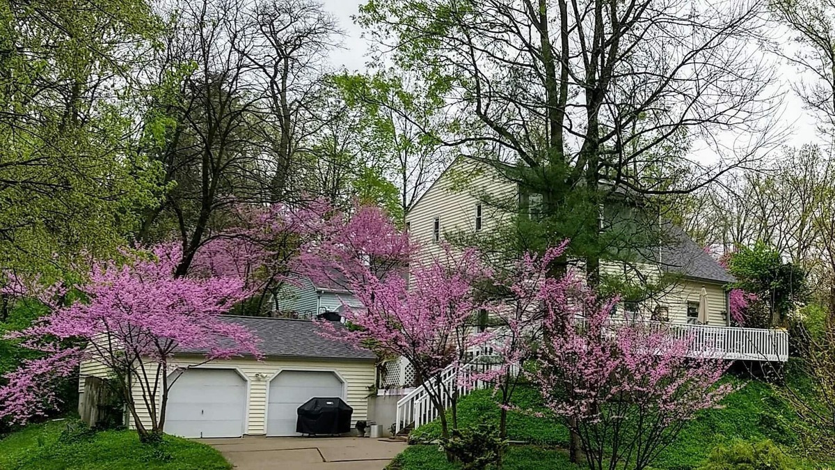 Anderson Township House | Spectacular Historic Home In The Heart Of It All!