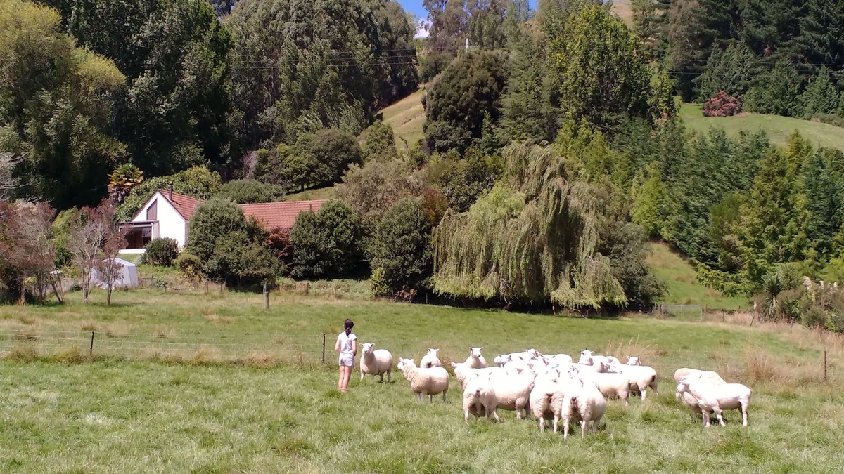 Hope House | Spectacular Hope Farm Stay