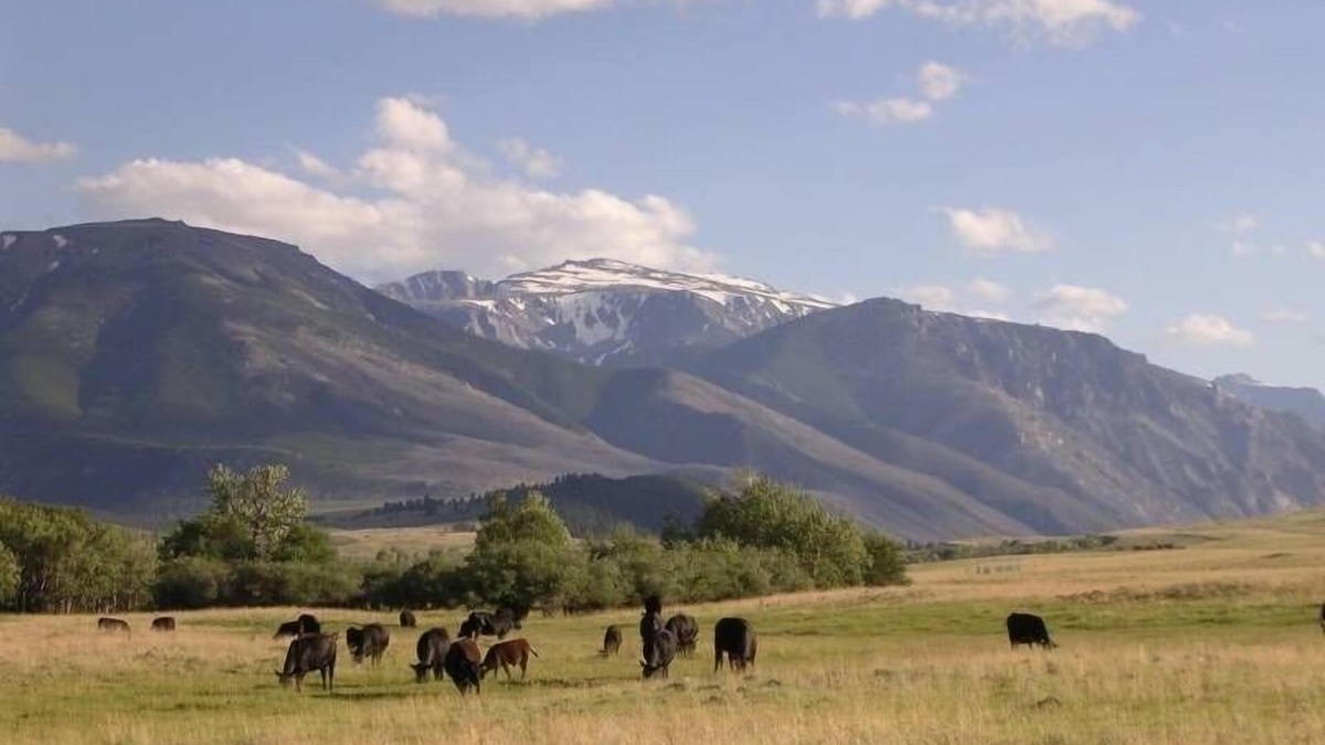 Roscoe House | Spectacular Mountain Views! Riverfront! Private! 3 Bdr/2bath