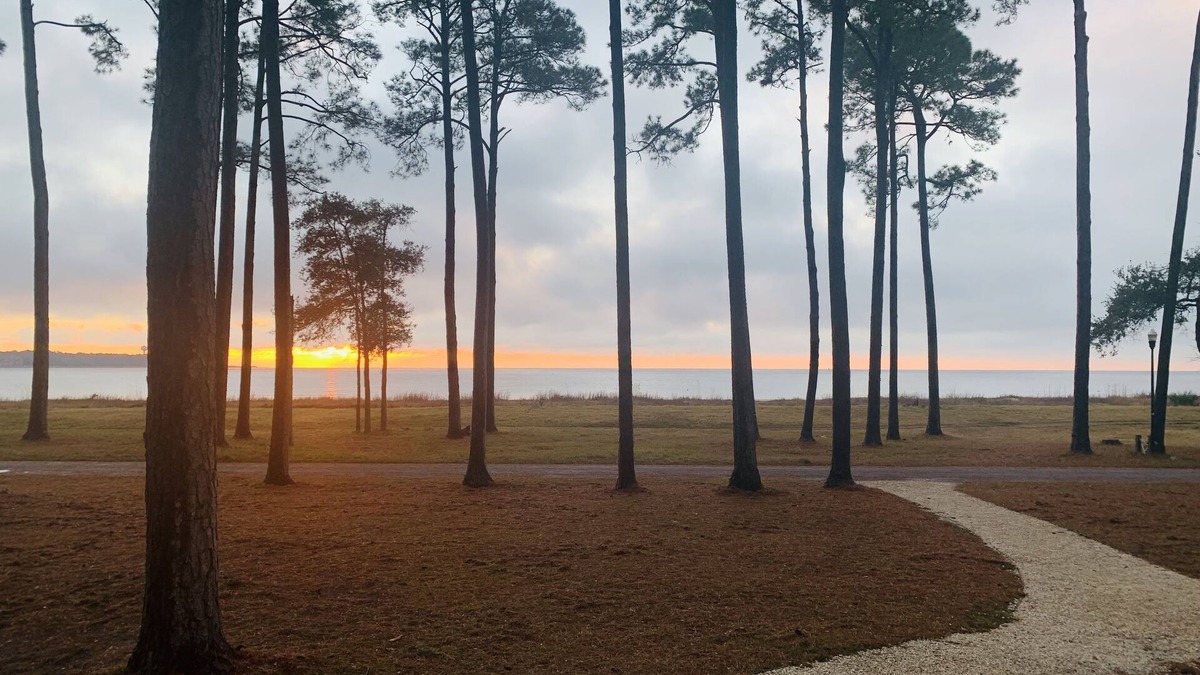 Melrose on the Beach Cottage | Spectacular Ocean Views Oceanfront Cottage Golf cart included with booking