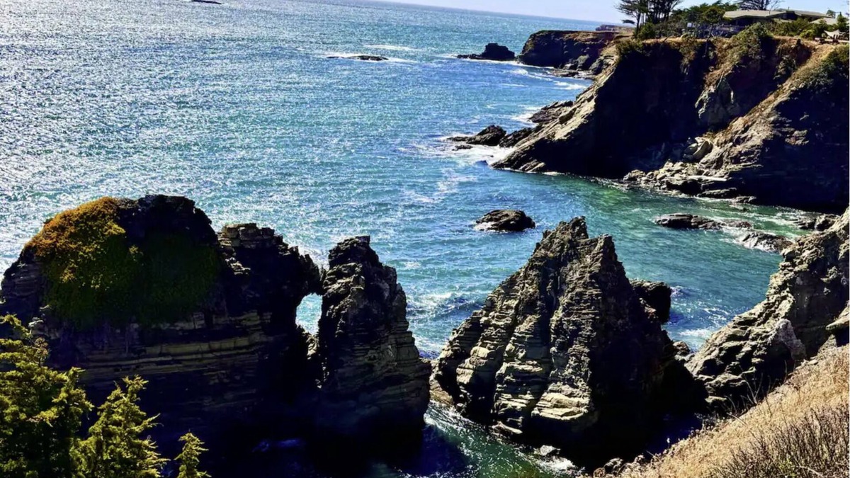 Gualala House | Spectacular Oceanfront, massive fenced yard, with Spa Mendocino Coast in Gualala