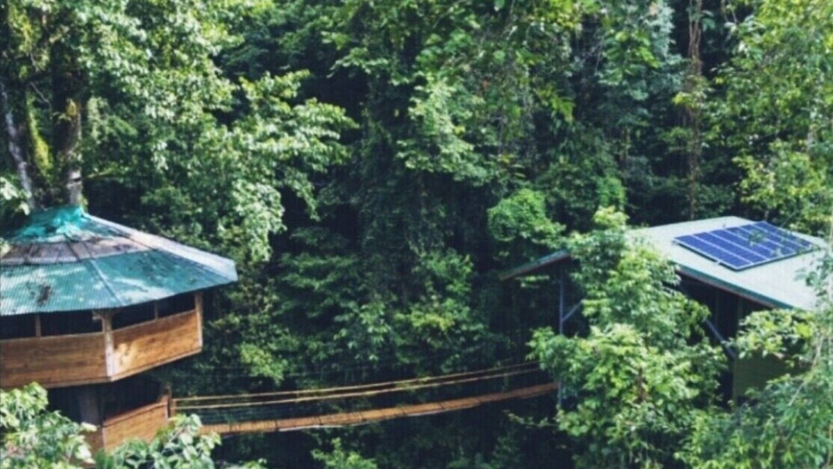 Piedras Blancas House | SpectacularJungle Canopy Treehouse
