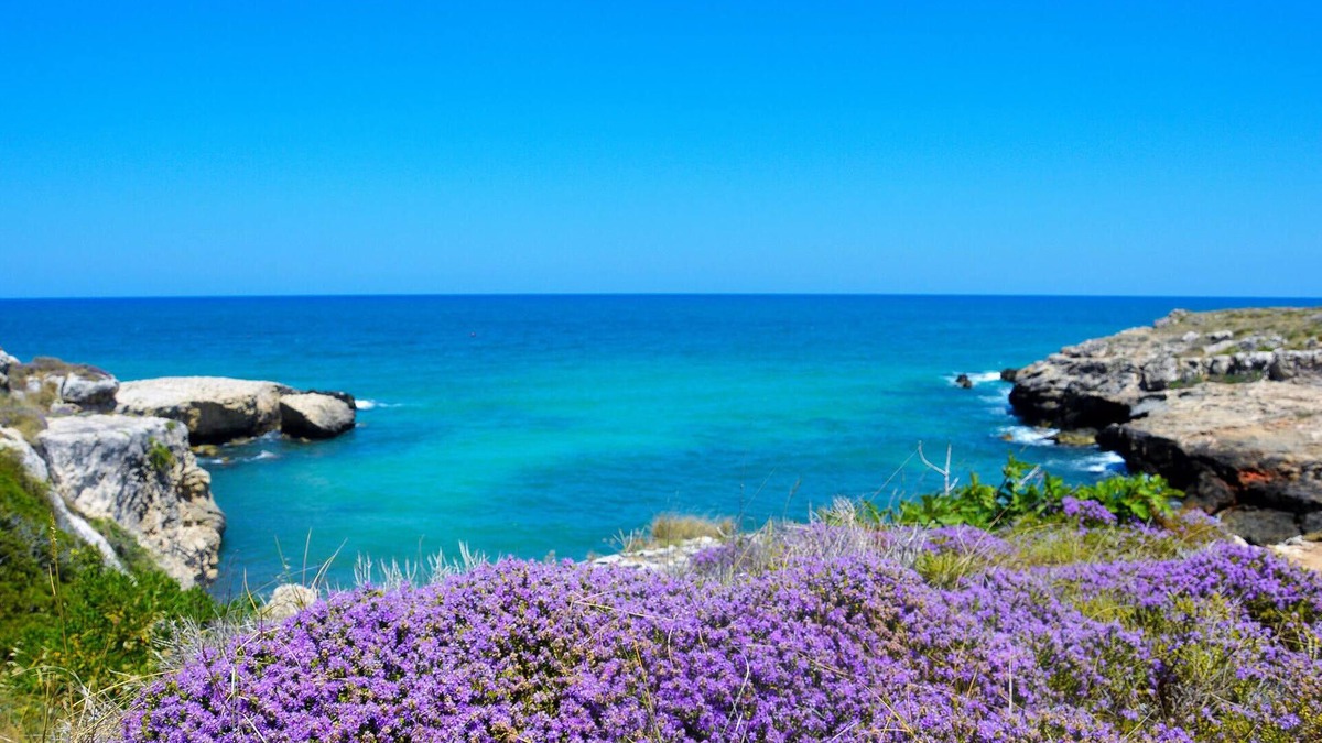 Bitonto Apartment | Spend a relaxing vacation in this appealing vacation home with great views of the countryside.