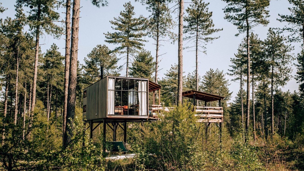 Maaseik House | Spend the night in a real tree house with elements to discover!