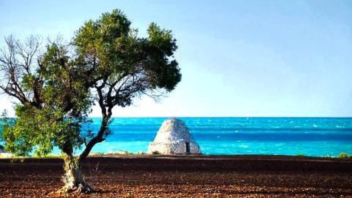 Antonelli Apartment | SPEND YOUR HOLIDAYS IN Apulia - MONOPOLI - South Coast