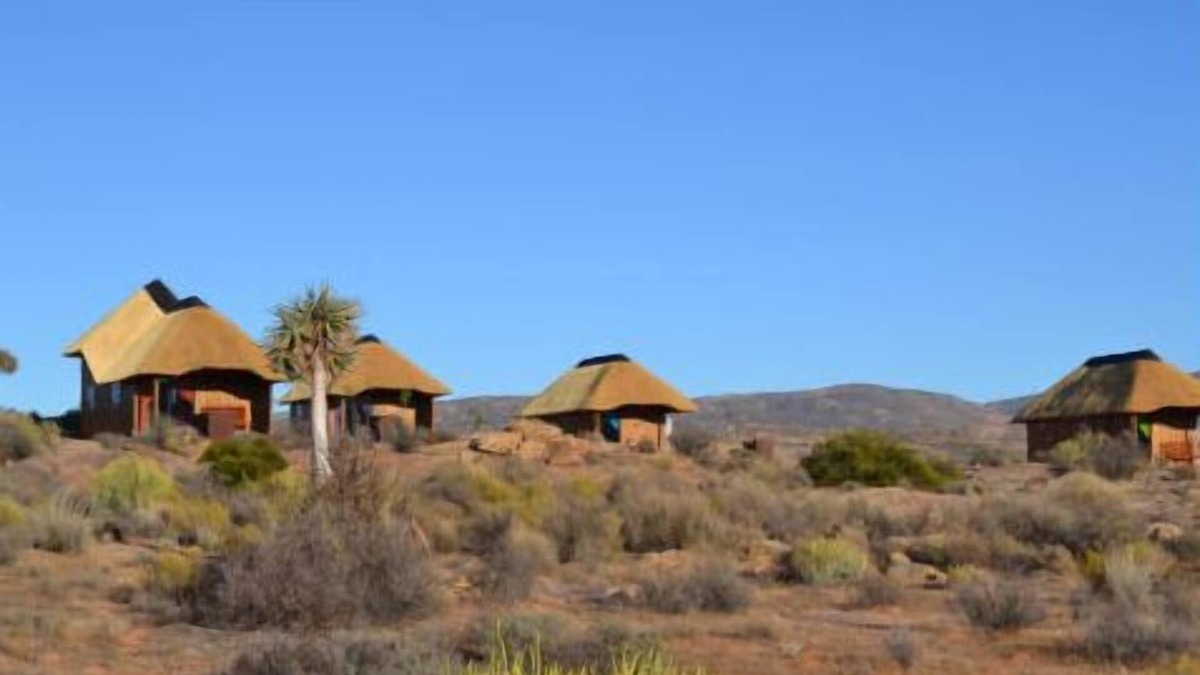 Springbok Cabin | Sperrgebiet Lodge