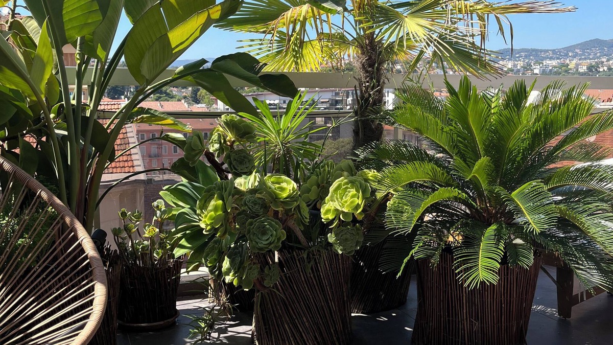 Riquier Apartment | Splendid, comfortable penthouse in the heart of Nice.