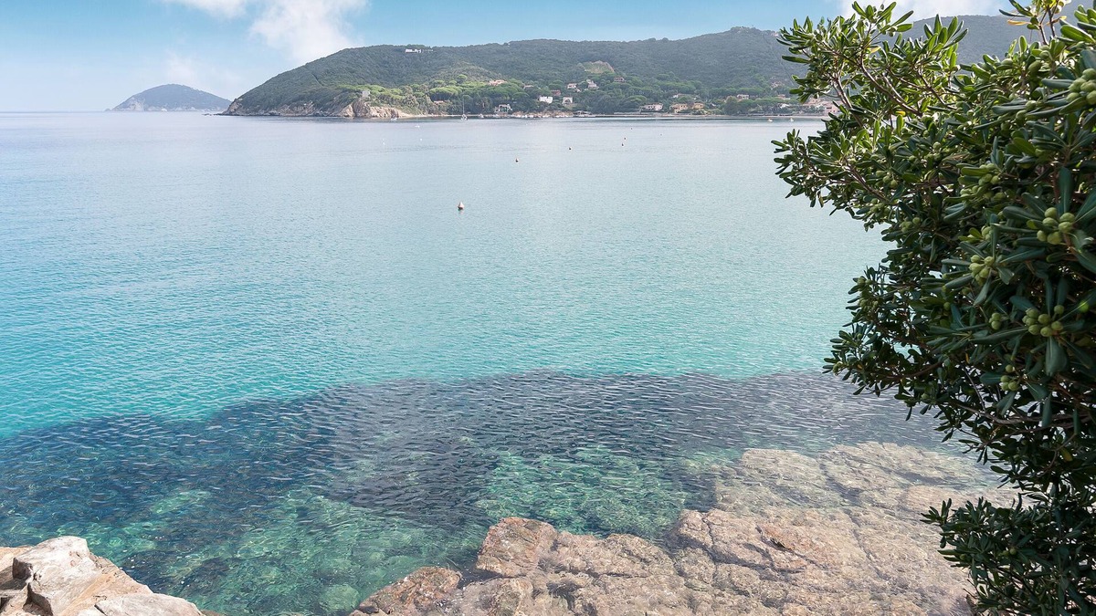 Procchio Villa | Splendid villa 6 places directly on the sea, combined with discount ferry