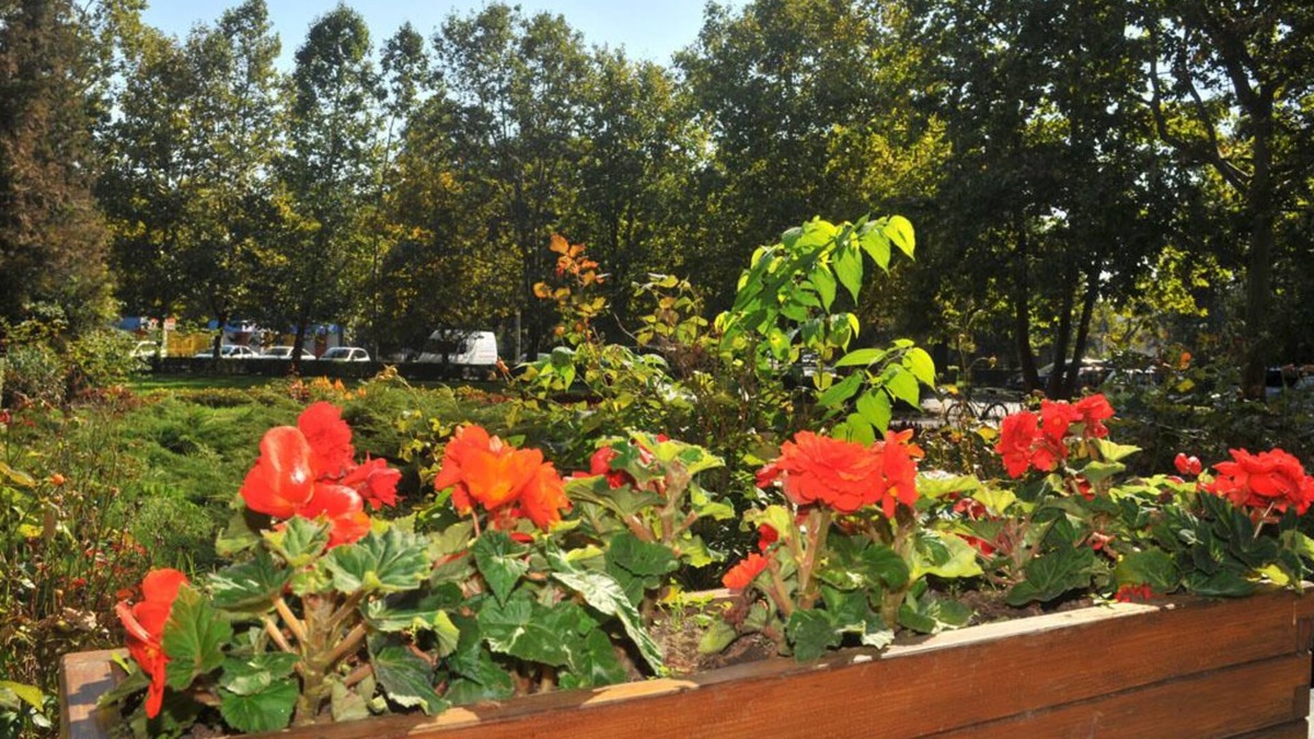 Debrecen Hotel | Sport Hotel