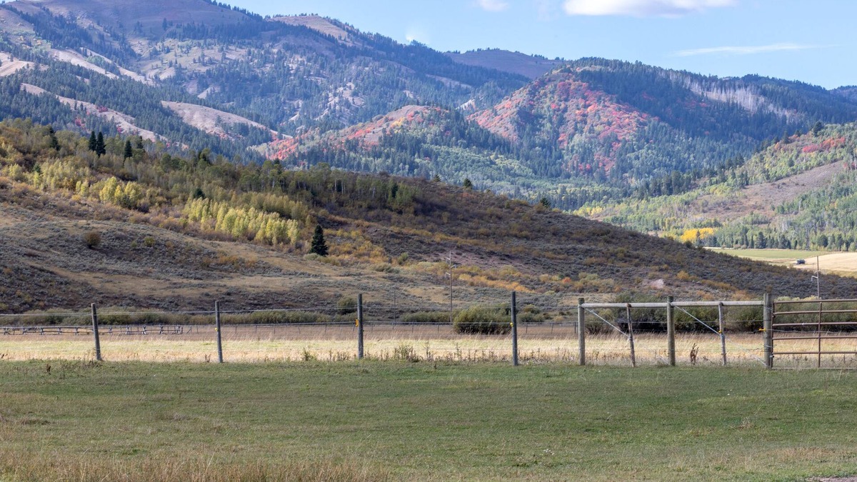 Freedom Cabin | Spotted Moon Ranch - River Front - One Bedroom King Cabin