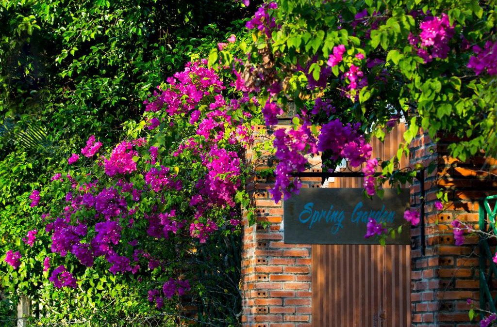 Ong Lang House | Spring Garden Homestay