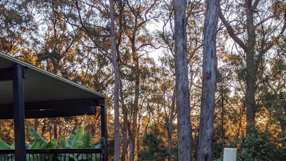 Springbrook Cottage | Springbrook Gold Coast Hinterland Hikers Cottage