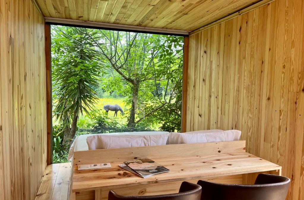 Valongo Villa | Springfield Lodge