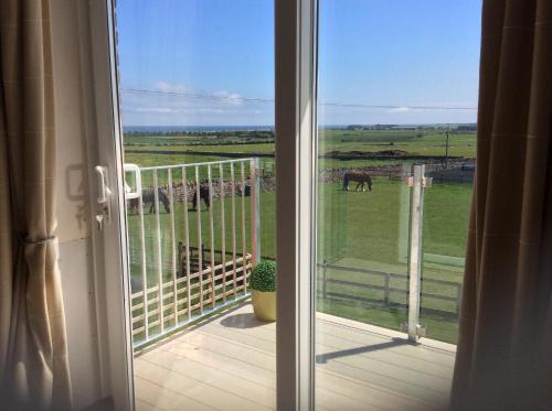 North Sunderland Bed & Breakfast | Springwood