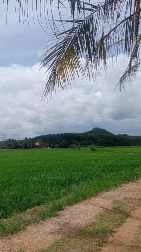 Pokok Sena District House | Sri Nawa Homestay
