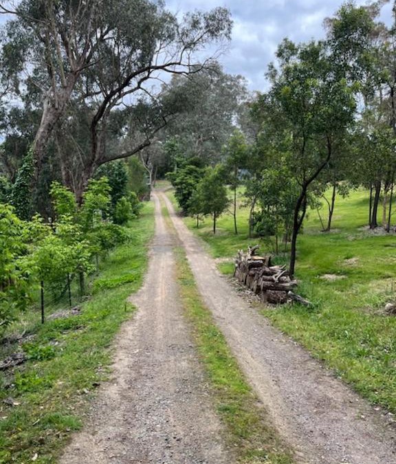 Warrandyte House | STA Wildlife Sanctuary - Yarra Valley Gateway!
