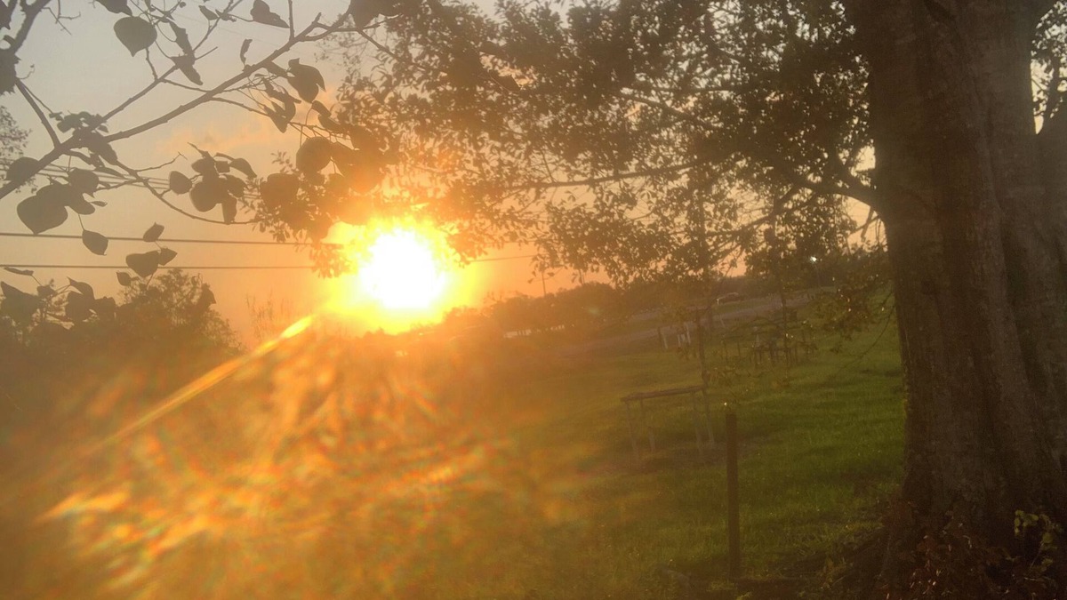 Bourg Cabin | STAB'N KAB'N on the BAYOU; 4bd, 4bth w/boat launch access!