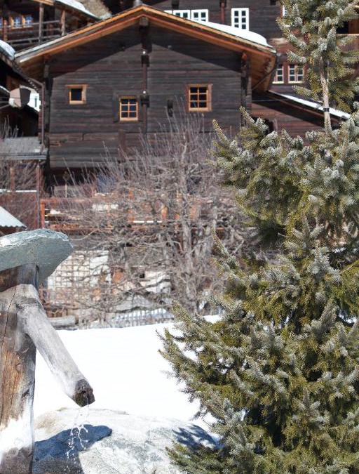 Niederwald Ski Chalet | Stadel Ritz